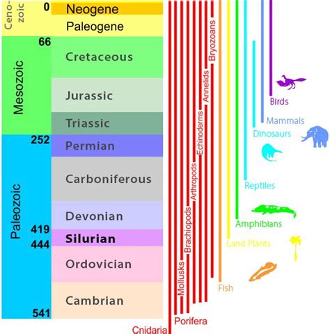 The Geologic Time Scale | Silurian Reef | The Field Museum