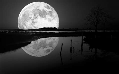 Moon Black and White Wallpapers - Top Free Moon Black and White ...