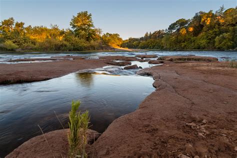 American River Parkway Birding Locations — Sacramento Audubon Society