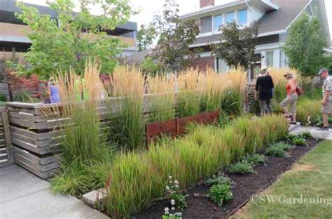 5 Uses for Ornamental Grasses - in 2020 | Ornamental grasses, Shade ...