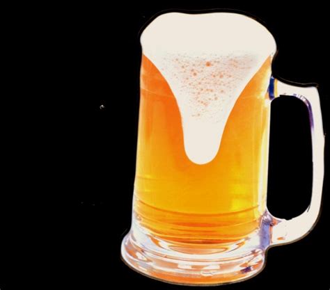 Top 9 Most Popular Types of Beer Glasses – Liquorista