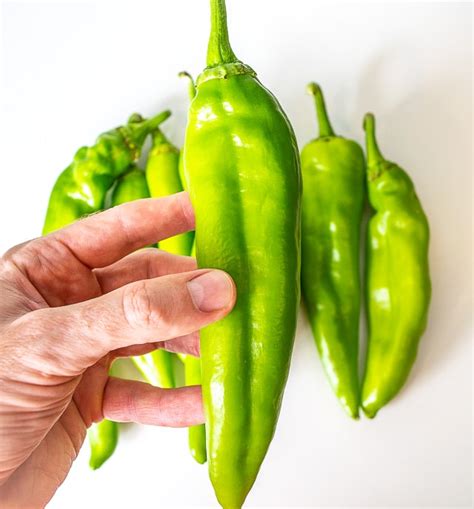 Hatch chile season in New Mexico | Page 3 | Telecaster Guitar Forum