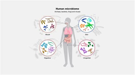 Microbiome