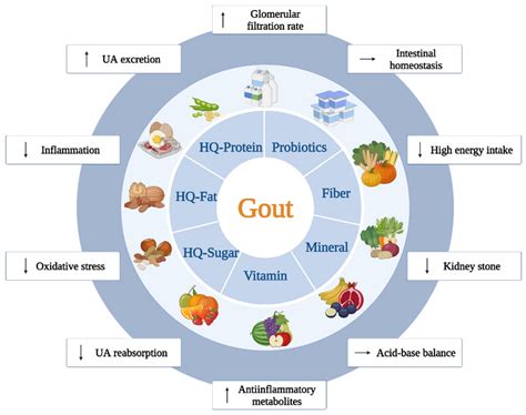 Gout and Diet: A Comprehensive Review of Mechanisms and Management