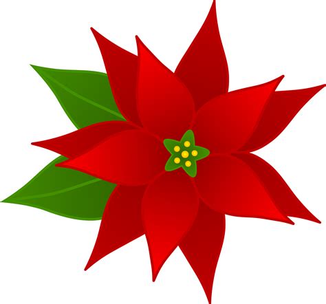 poinsettia clip art transparent - Clip Art Library