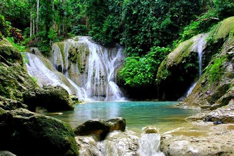 Loboc Ecotourism Adventure Park - All You Need to Know BEFORE You Go (2024)