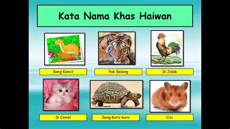 Kata Nama Khas Haiwan - Riset