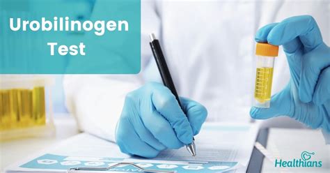 Urobilinogen test – Understand its need and results - HEALTHIANS BLOG