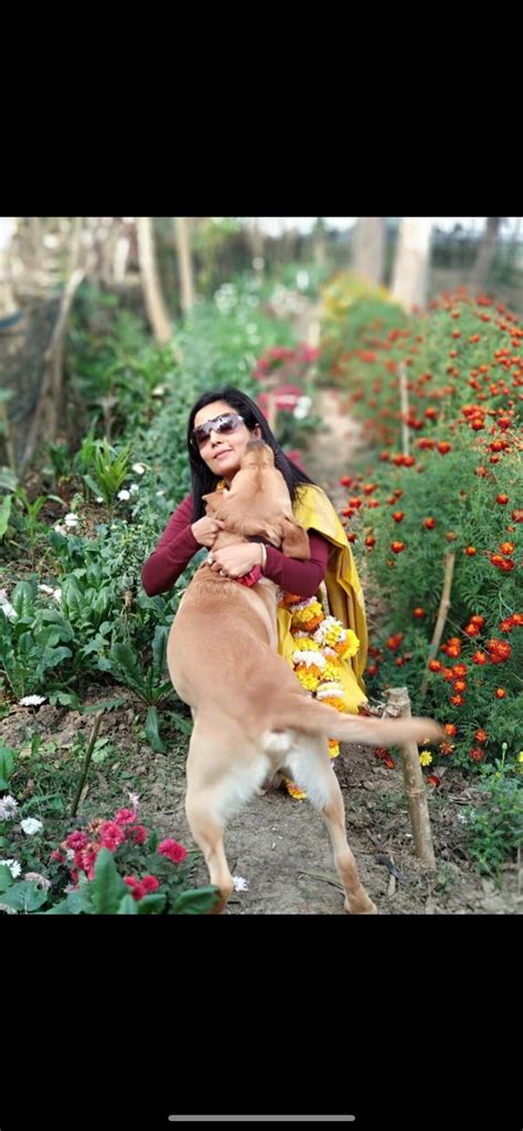 Mahua Moitra on Twitter: "Happy #InternationalDogDay to all the parents ...