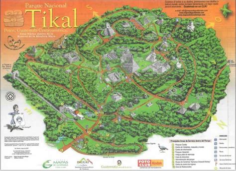 Tikal Sunrise Tour - Why bracing 4 am was worth it to see the sunrise ...