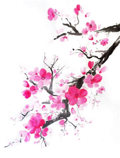 Sumi-e Cherry Blossoms Painting Art Print - Etsy