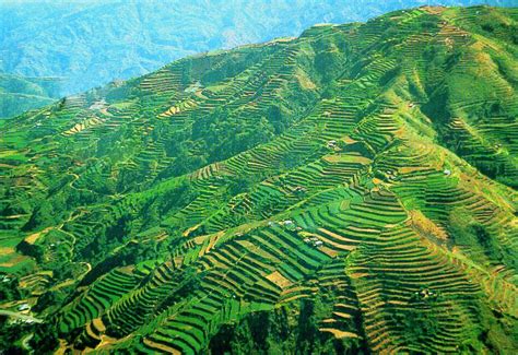 Banaue Rice Terraces Wallpapers - Top Free Banaue Rice Terraces ...