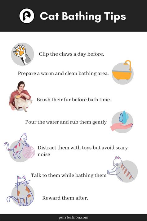 a poster with instructions on how to use cat bathing tips for cats and ...