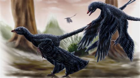 Flying Dinosaurs With Feathers