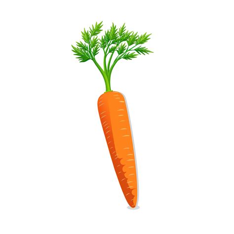 Carrot vector free download 35358833 Vector Art at Vecteezy