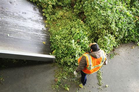 The Magic of Hop Harvest - Imbibe Magazine