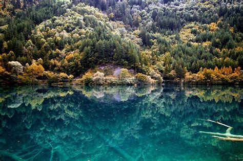 Mirror lake at Jiuzhaigou Photo by Paul Hayes — National Geographic ...