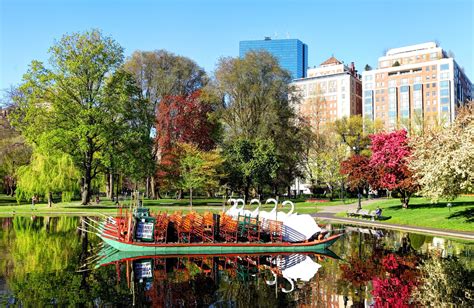 Boston Public Garden: The Complete Guide