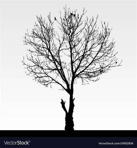 Dry dead tree silhouette Royalty Free Vector Image