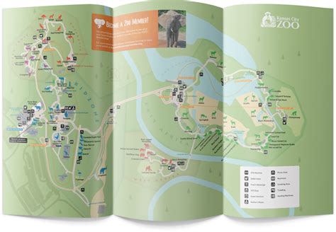 Using Kansas City Web Design To Create A Better Zoo Map - Kansas City ...