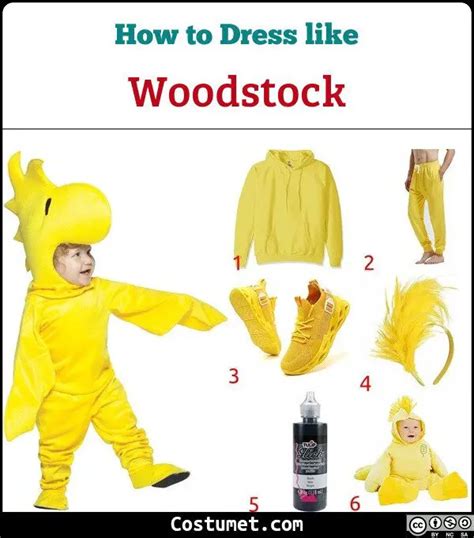 Woodstock (Peanuts) Costume for Halloween