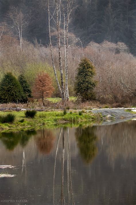 Pond with only reflection on Behance