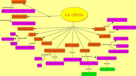 Mapa Mental De La Celula Mapas Images | Porn Sex Picture