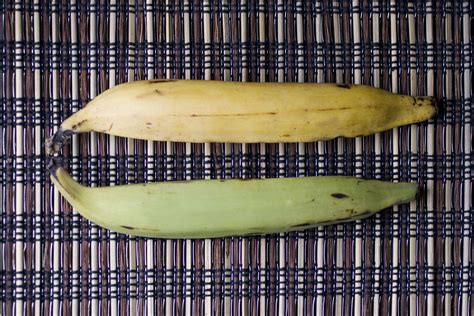 What Are the Benefits of Plantain Fruit? (with Pictures) | eHow