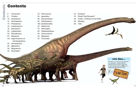 Dinosaur Size Comparison Chart