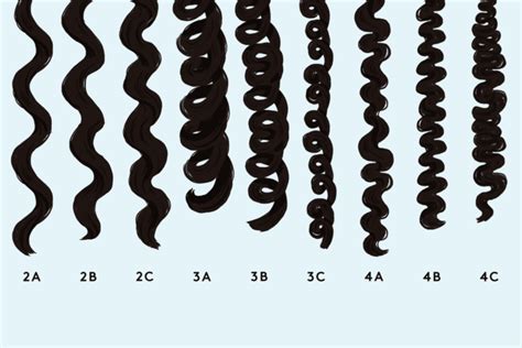 What Percentage of People Have Curly Hair? - The Mews Beauty