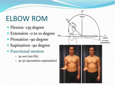 Examination, evaluation & Assessment of Elbow | PPT