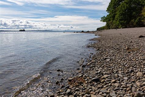 Sears Island in Maine Rocky Beach Stock Photo - Image of beach, sears ...