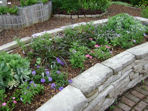 20 Sensory Garden Plants Ideas To Consider | SharonSable