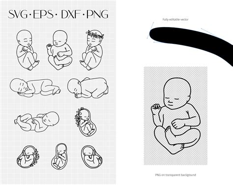 Newborn baby svg clipart. Embryo, fetus. New baby line vector art By ...