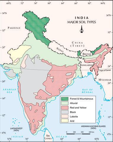 Soils of India: Classification and Characteristics - Clear IAS