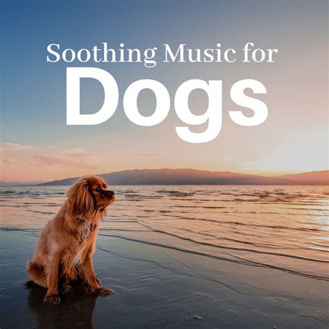 Soothing Music for Dogs CD - Puppy & Dog Relaxation Songs for ...