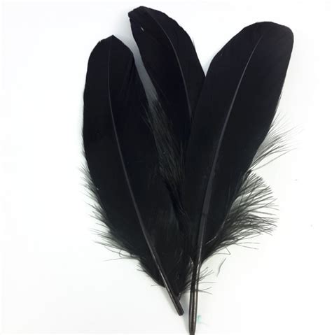 Pitch Black Duck Feathers Pack of 100 pcs 3-5 Long