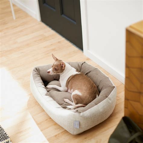 FRISCO Rectangular Bolster Dog Bed w/Removable Cover, Beige, Medium ...