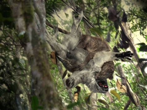 "Gravity..."- a giant fossa (Cryptoprocta spelaea) attacks koala lemur ...