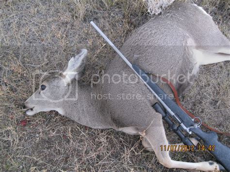 Best 22.250 deer bullet option.... - 24hourcampfire