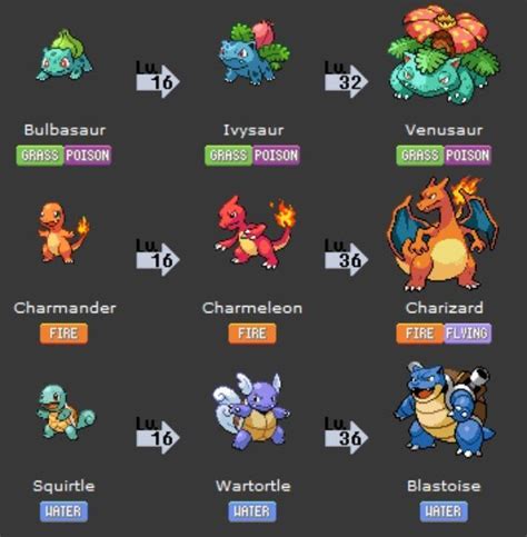 pokemon evolution chart - Google Search | Pokemon pokedex, Pokemon ...