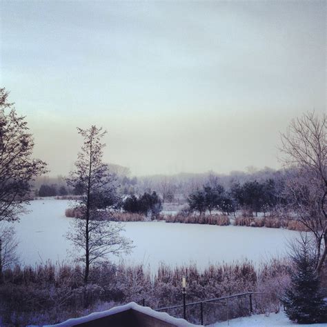 Frozen pond | Frozen pond, Pond, Outdoor