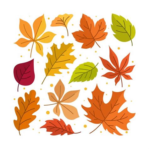 Fall Autumn Leaves Icon Creative Layout 8865973 Vector Art at Vecteezy