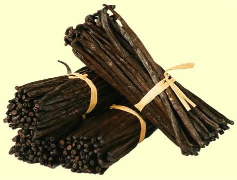 Picture of Vanilla Beans from Madagascar