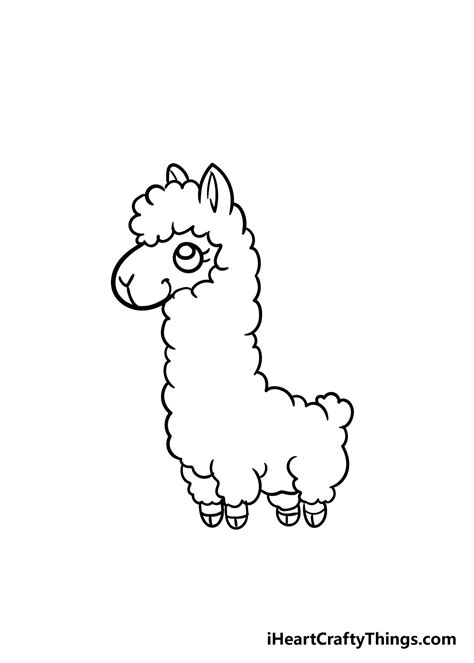 Llama Drawing