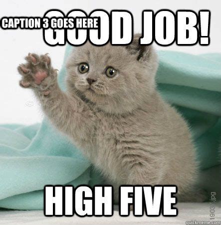 Good job! High five Caption 3 goes here | Cute cat memes, Funny cat ...