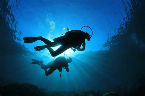 4K Ultra HD Scuba diving Wallpapers | Background Images