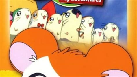 Hamtaro (TV Series 2000–2006) - Episode list - IMDb