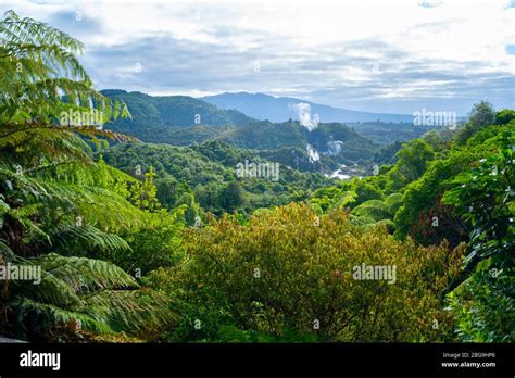 Waimangu Volcanic Valley, Rotorua, North Island, New Zealand Stock ...