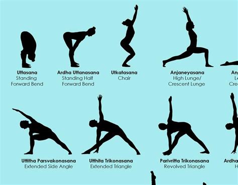 Basic Yoga Poses Sanskrit Names